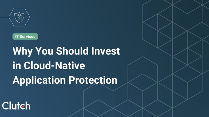 Why You Should Invest in Cloud-Native Application Protection