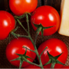Silver State Foods Logo