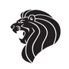 Business Advertising Media LLC Logo