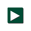 FPNEXT| Tráfego Pago Logo