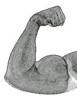 Strongarm Cleaning Services Logo