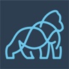Blue Gorilla Video Logo