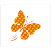 CAERUS INFOSYSTEMS Logo