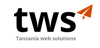 Tanzania Web Solutions (TWS Firm) Logo