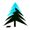 Boreal Digital Logo