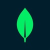 MongoDB Logo