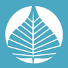 Bodhi Web Logo