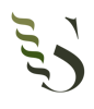 Veteran Strategies Logo