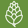 Red Pine Digital Logo