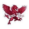 mesmero Logo