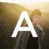 Albert Law Logo