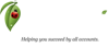 Pantana Accounting & Tax Logo