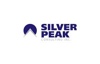 Silver Peak Consulting Logo