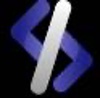 Digital Website Expert Logo