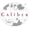 Caliber Tech Solutions Private Limited Logo
