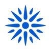 Insight Sourcing Group Logo