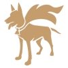 Stablished Projects Logo
