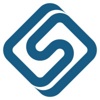 LSI Media Logo