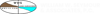William W. Seymour & Associates, P.C. Logo
