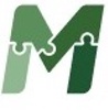 More Solutions Group Logo