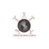 Cyber Search Global Logo