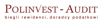 Polinvest-Audit Logo