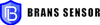 bransloadcells Logo