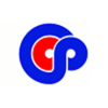 Computer Consultant Professionals Logo