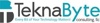 Teknabyte Consulting LLC Logo