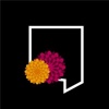 KTBO Logo