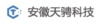 Anhui Tiancheng Technology Co., Ltd. Logo