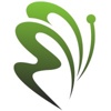 Monarch Web Solutions Logo