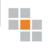 Exiger Logo