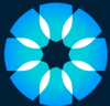Cyber Security Professional Services- Detox Technologies Logo