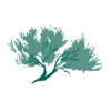 Sage Forensic Accounting Inc Logo