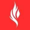 Survivor Dijital Logo