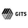 Global IT Service LLC Logo