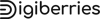 Digiberries Paris - Agence de référencement web Logo