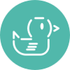 Rubber Duck Software Logo