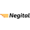 R.S.L Negital Ltd Logo