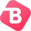 Bitcom Systems Logo
