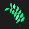 Branchleaf Digital Logo