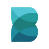 BB Array Logo