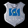 Shinestar Steel Group Co.,Ltd Logo