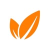 Whitefield Consulting Logo