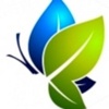 Triad Web Design Service Logo