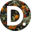 Dynamic. Logo