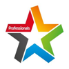 Professionals Real Estate Group Logo