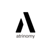 Axon Intelligence Logo