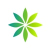 Excentric Agency Logo
